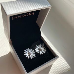 NEW Pavé Daisy Flower Statement Stud Earrings
